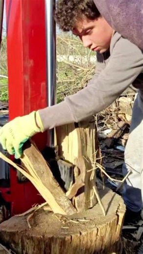 Vertical Log Splitter