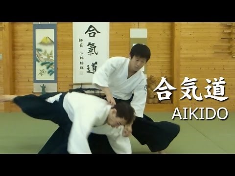 合気道 - 白川竜次先生【正面打ち自由技】 Aikido - Shirakawa Ryuji sensei