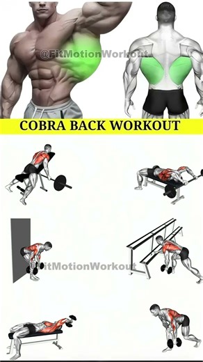 9 Powerful Back Workout to Transform Upper Body |#workout #backworkout