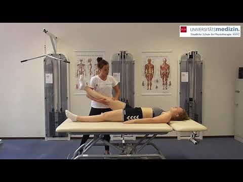 LWS - Lasegue & Bragard