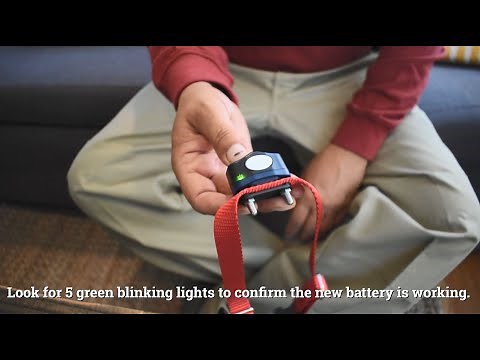 How to Change Your Invisible Fence® Battery