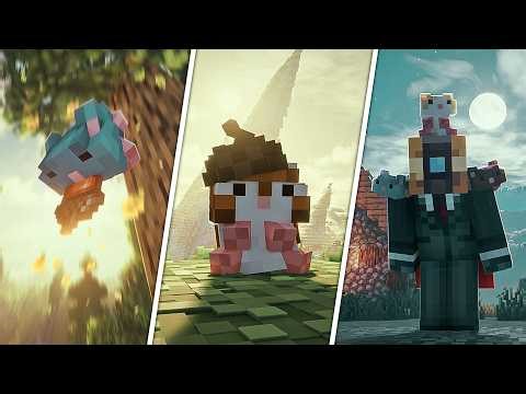 Adorable Hamster Pets | (Full Showcase)