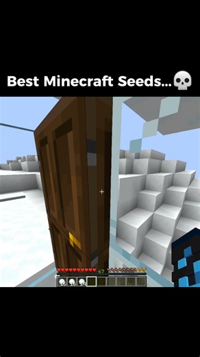 Best Minecraft Seed💀☠️#minecraft #trending