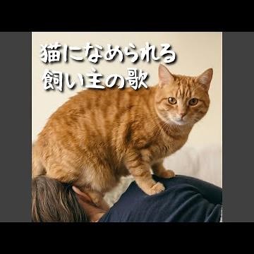 猫になめられる飼い主の歌