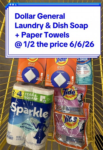 Dollar General Best Deal 6/6/26 — Laundry, Dish Soap & Paper Towels 1/2 Off