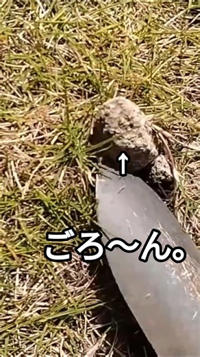 【ASMR】やっと抜けた！爽快感がたまらない‼ 庭の角栓取り。#025