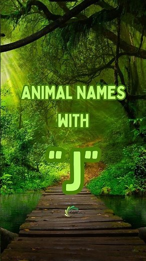 JAW-DROPPING Animals That Start With J