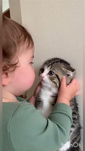 baby and cat love 2