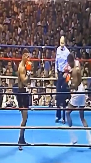 boxing | Boxing Fans