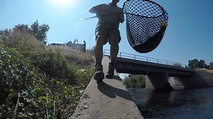 3.2K views · 103 reactions | CDFW is leading the effort to restore...