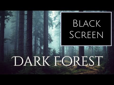DARK FOREST Ambience and Music - (10h long version, black screen, for sleep)