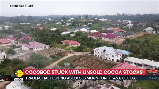 Ghana’s cocoa sector is in crisis. Farmers are unpaid for months of deliveries, global cocoa futures have plunged, and the government is now weighing an overhaul of its domestic pricing system to align with volatile markets Jyotsna Kumar has more | WION