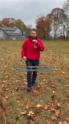 14K views · 1.1K reactions | Do you want to trust your dog off-leash?...