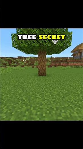 99% of people don't know the trees secret 😱
