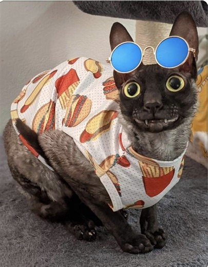 Performance pack addon