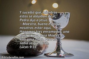 Explicación Lucas 9:33. 'Y sucedió que, mientras estos se alejaban de él, Pedro dijo a Jesús: -Maestro, bueno es para nosotros estar aquí. Hagamos tres enramadas, una para ti, una para Moisés y una para Elías. Pero no sabía lo que decía.' - BibliaBendita