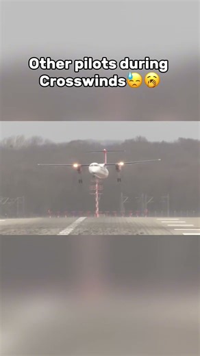 Art off crosswind landings✈️🤩🤩