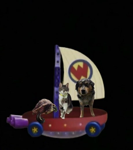 Wonder pets