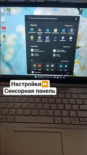 Что делать если не работает Сенсорная панель ноутбука #Ноутбук#Сенсорнаяпанель