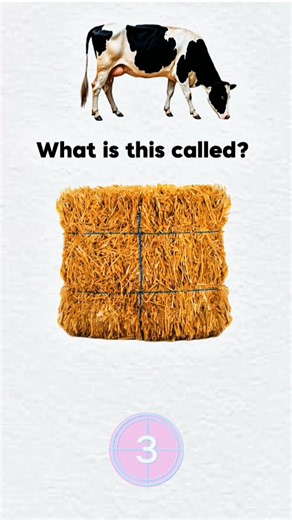 Village Vocabulary Challenge 🇺🇸 | Dung Cake vs Hay #easyenglisheveryday