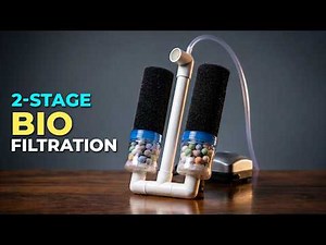 Build This Ultimate DIY Aquarium Double Sponge Filter (Step-by-Step)