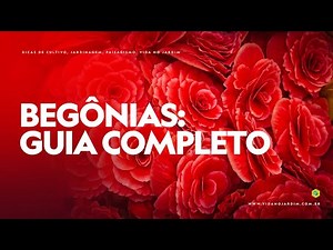 BEGONIAS: A COMPLETE GUIDE to GROWING these AMAZING PLANTS