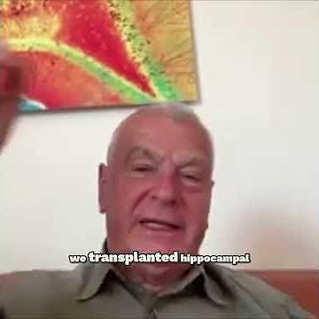 Sharp Wave Ripples: How Brain Oscillations Emerge