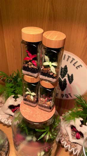 jimburkemcr (@jimburkemcr)’s videos with original sound - TRIPP