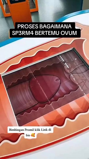 Solusi Program Hamil on TikTok