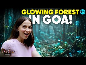 Elli Discovers AVATAR Like Glowing Forests In Goa! | India With Elli S5 E5 ‪@curlytalesdigital‬