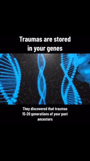 Intergenerational trauma refers to the way the effects of traumatic experiences can be passed down from one generation to the next, not just through behaviour and upbringing but also through biological changes in DNA. Scientific research has shown that trauma can leave marks on a person's genes through a process called epigenetics, which changes how genes are expressed without altering the DNA itself. These changes can affect how individuals respond to stress and can be inherited by their childr