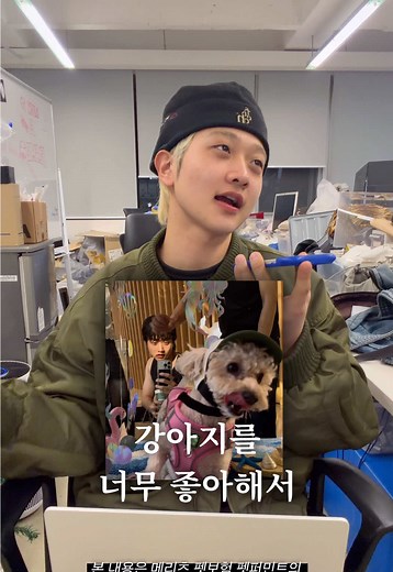 최고의 강아지 보험, 메리츠 펫보험 소개