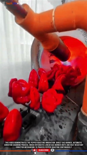 Pepper Roasting Innovation: Direct Gas Burner, Automatic Conveyor Charring Process #tech
