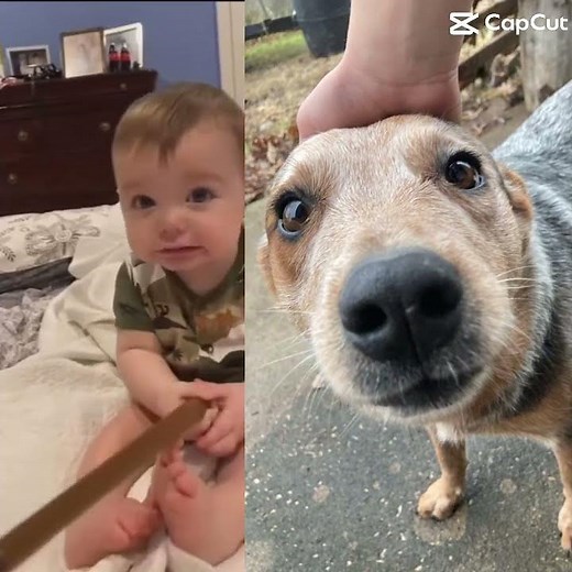 Harry Potter baby meme