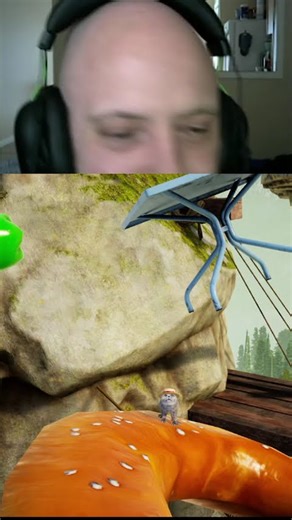 This Cat... Chat | #gallenfier on #Twitch
