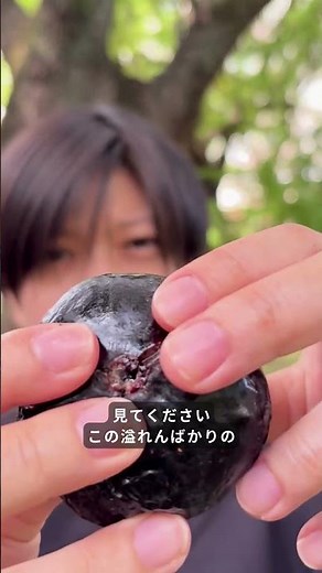 Bioresolies [Recommended ingredients/Tabechoku]