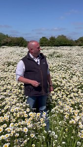 Wheat and barley farmer Jamie plants flowers on his farm to encourage wildlife, including one of Britain's last breeding pairs of cranes🌻 #BackBritishFarming #BritishFarmer #Wildlife #Countryside | Back British Farming NFU