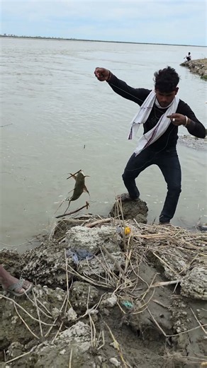 गुच्छ मछली का शानदार शिकार #viral #hook #fishing #fishandfishing7