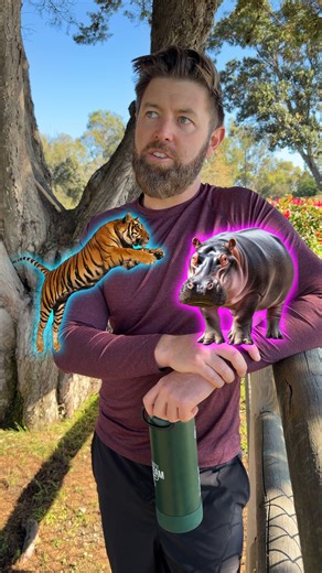 Forrest Galante on Reels