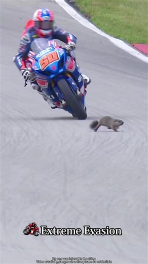 Motorcycle Racing Extreme Control car 🏍️ #motogp #moto #race #corrida #foryou