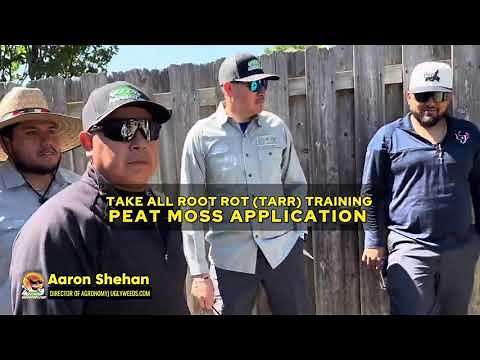 Take All Root Rot Plan