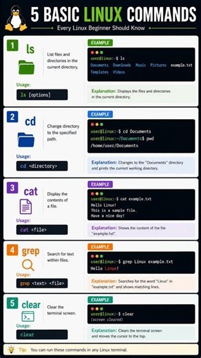 Linux for Beginners: 5 Commands You’ll Use Every Day #shorts