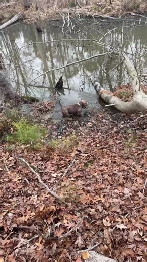 Yall know a 🥷🏿 be exploring