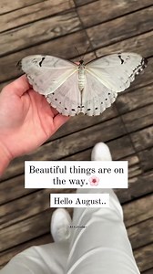 Hello August>> | Ａｔｔｉｔｕｄｅ
