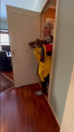 BLBLBLBLBLBLLBL 😂😂 #jumpscare #funny