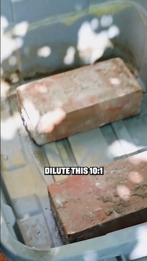 Easy 3-Tier Worm Bin Setup for Composting 🌱 #shorts