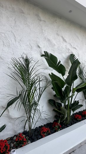 #decorativeconcretesolutions @rumcrete @lab.crete_jordan | وادي رم للديكورات الخرسانية