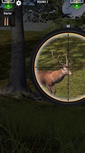 Dear Hunting ASMR Video📷#huntingvideos #hunting #asmr #viralvideo