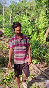 6.8K views · 81 reactions | জোত ছোট তো ঝামেলা কম#rahulroy #arfunnyvideo #viral #comedy #reels | Rahul Roy Rahul Roy | Facebook