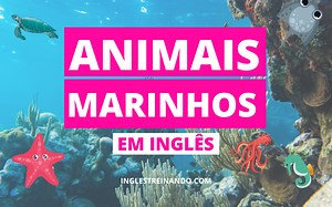 Animais Marinhos em Inglês: Conheça os Principais - Inglês Treinando